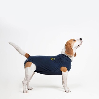 Medical Pet Shirt for Dogs Small