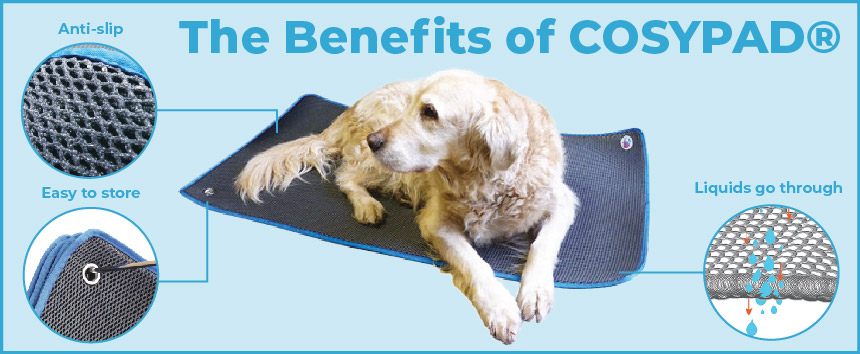 Easy, Cosy, Happy: The Benefits of COSYPAD® 