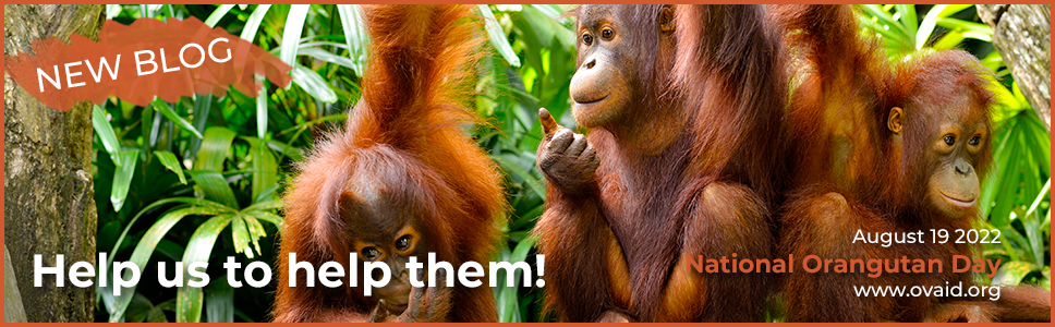OVAID - Orangutan Veterinary Aid