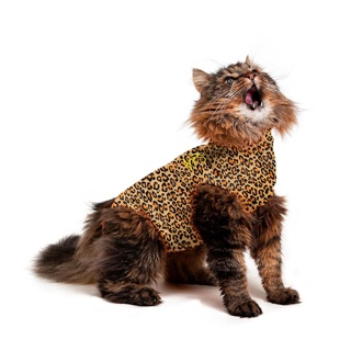 Medical Pet Shirt for Cats Leopard Print 4XS