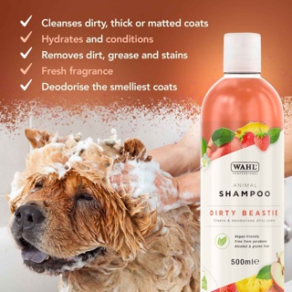Shampoo Dirty Beastie 500ml