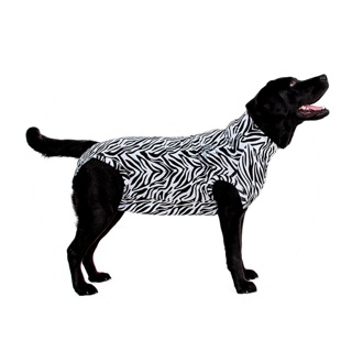 Medical Pet Shirt for Dogs Zebra Print X Large
