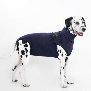 Medical Pet Shirt for Dogs Large