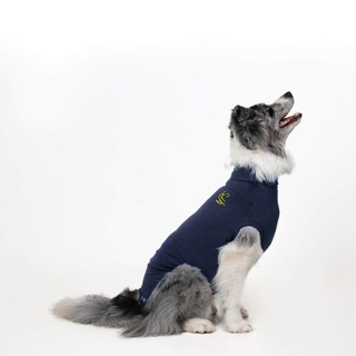 Medical Pet Shirt for Dogs Medium