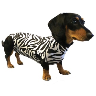 Medical Pet Shirt for Dogs Zebra Print 3XS