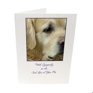 Purfect Sympathy Cards 5pk - Style  3 *D