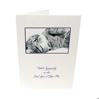 Purfect Sympathy Cards 5pk - Style  9