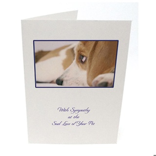 Purfect Sympathy Cards 5pk - Style 10