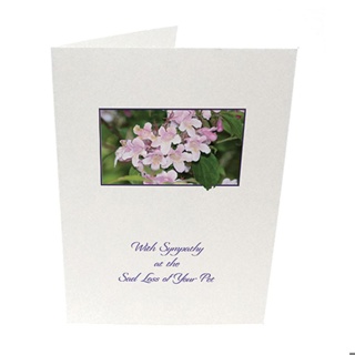 Purfect Sympathy Cards 5pk - Style 13