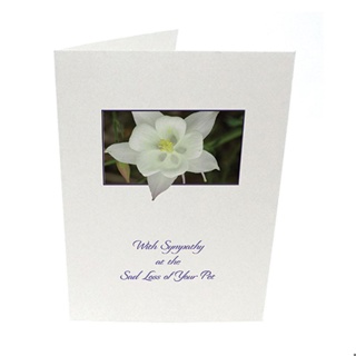 Purfect Sympathy Cards 5pk - Style 18