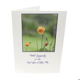 Purfect Sympathy Cards 5pk - Style 21