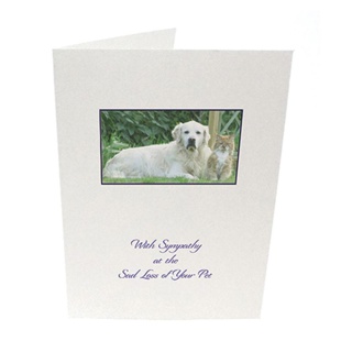 Purfect Sympathy Cards 5pk - Style 24