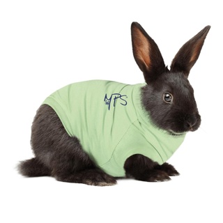 Medical Pet Shirt for Rabbits 3X Small