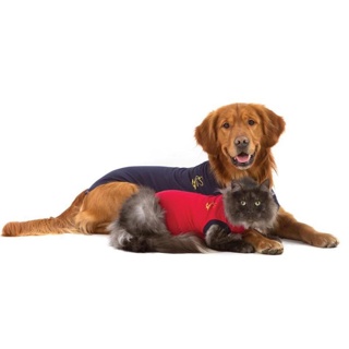 Medical Pet Shirts Starter Pack - Dog XS S M L & Cat XS