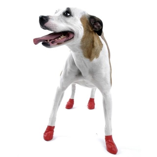 Pawz Dog Red Small (12)