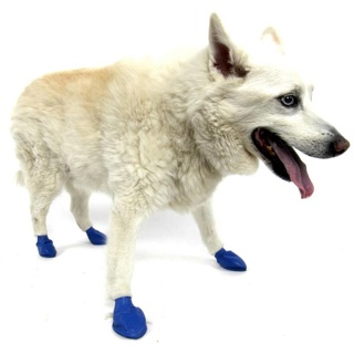 Pawz Dog Blue Medium (12)