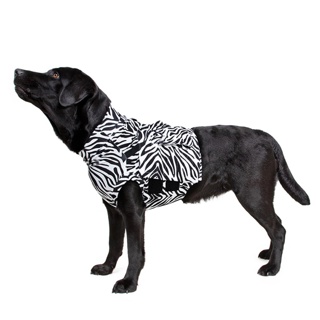 MPS Protective Topshirt 4in1 for Dogs Zebra Print 2X Small