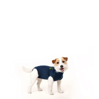 Medical Pet Shirt for Dogs 4XS