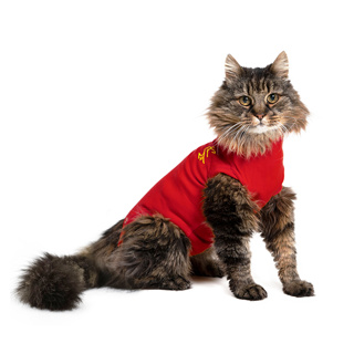 Medical Pet Shirt for Cats 4XS