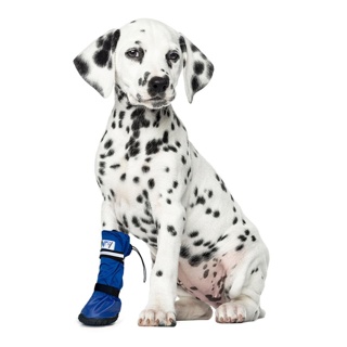 Medical PetS Boot X Small