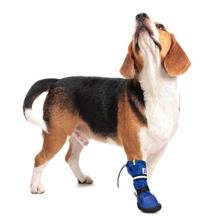 Medical PetS Boot Medium Short