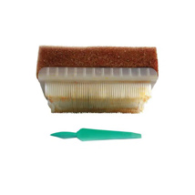 Iodine Surgical Scrub Brush with Sponge (25)