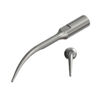 Scaler Tip Pointed P6  BS-1 iM3