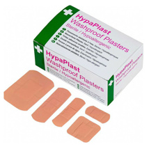 Washproof Plasters Assorted (100)