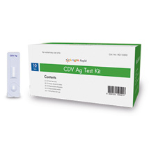 Bionote Rapid CDV Ag Canine Test Kit (10)