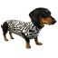 Medical Pet Shirt for Dogs Zebra Print Small