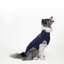 Medical Pet Shirt for Dogs Small Plus
