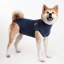 Medical Pet Shirt for Dogs 2X Large