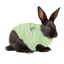 Medical Pet Shirt for Rabbits X Small