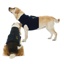 MPS Protective Topshirt 4in1 for Dogs 2X Small